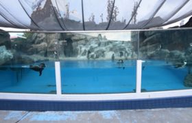 水の回廊 360度館内案内 鳥羽水族館