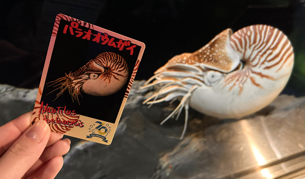 鳥羽水族館70周年記念サイト