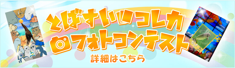 とばすいコレカフォトコンテスト