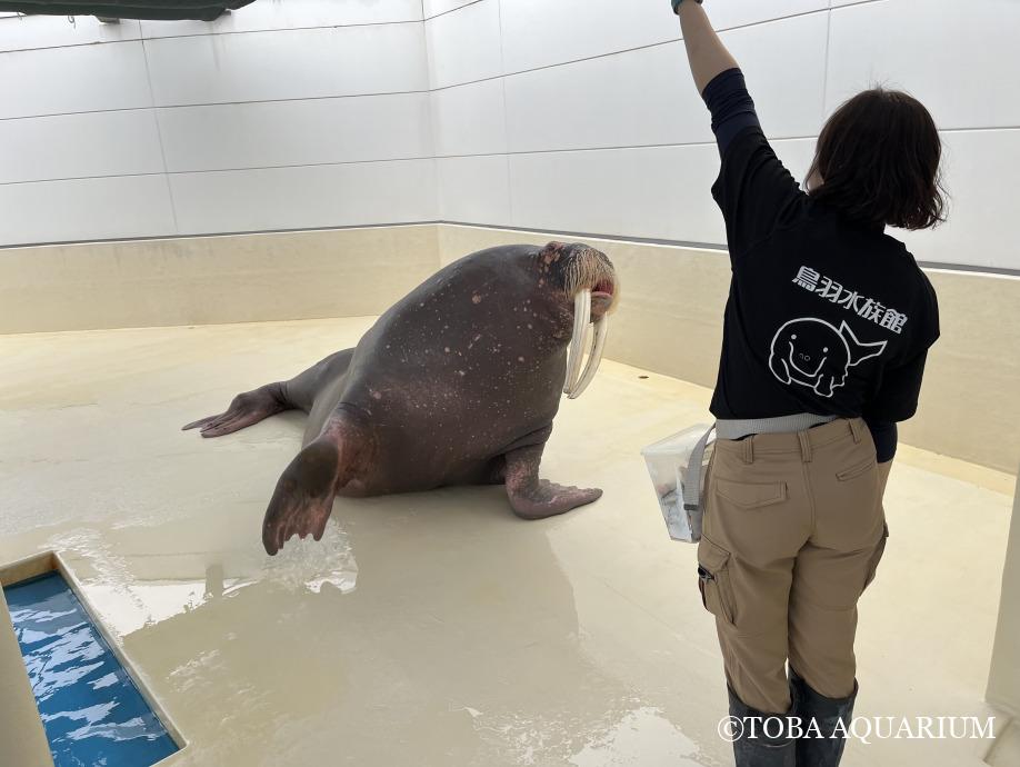 皆さん、こんにちは！はじめまして！