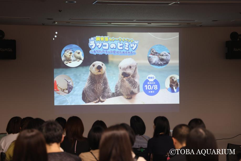 ラッコのヒミツ、全部出し！？