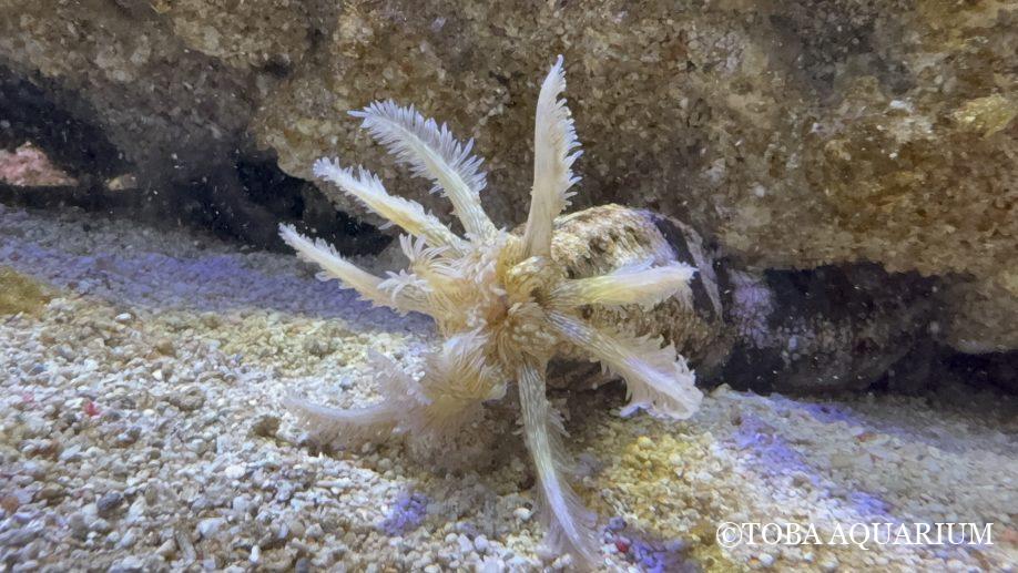 やっと会えて嬉しい