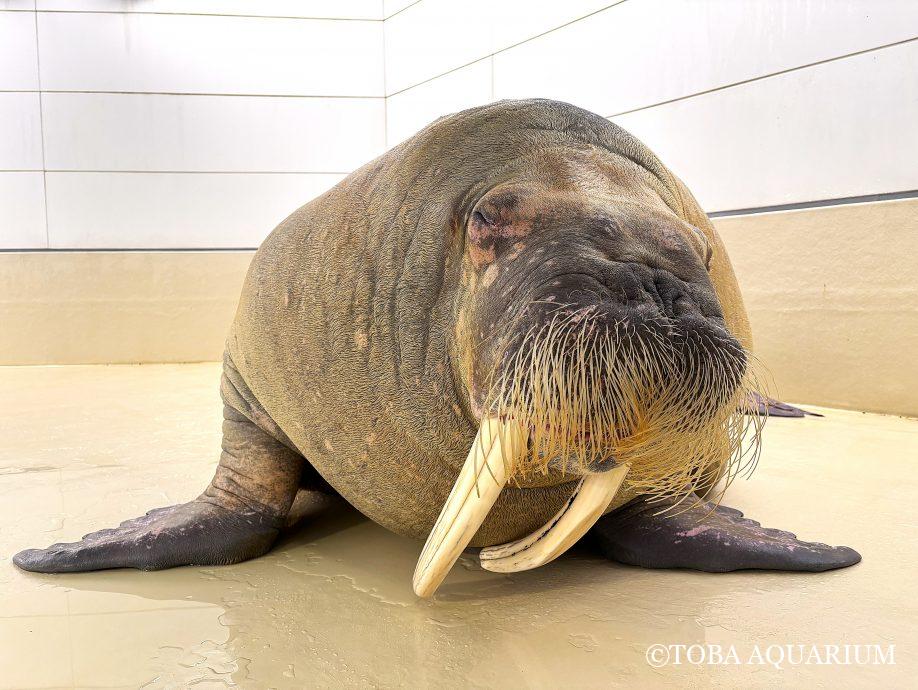 一葉落ちて天下の秋を知る。