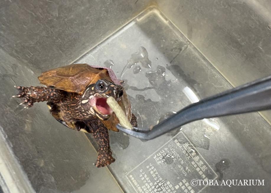 この季節の悩み事☁