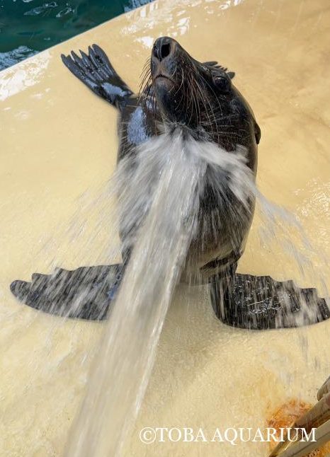 【好き】を見つける