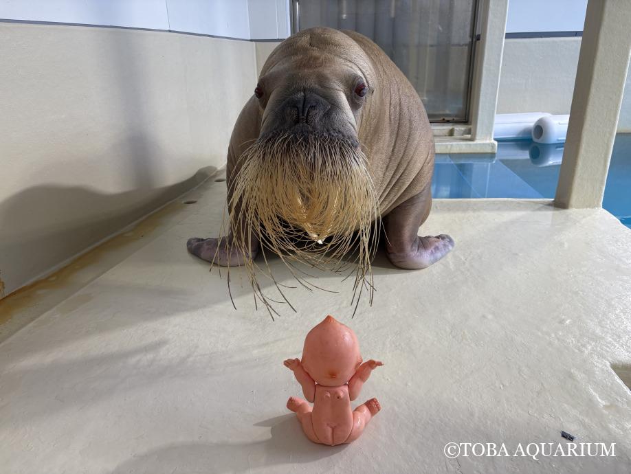 「ないしょ」始めました🤫