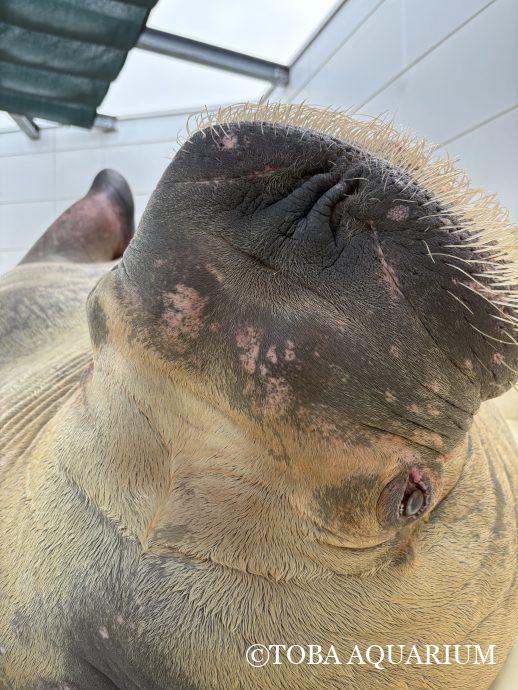 コンビネーション一覧表