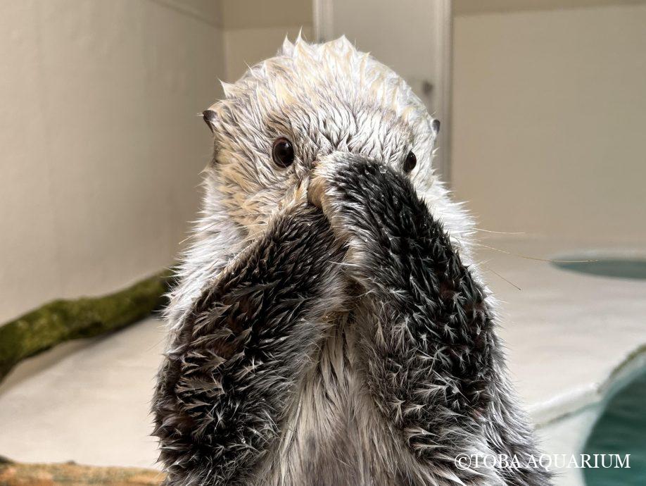 おもちゃハプニング！