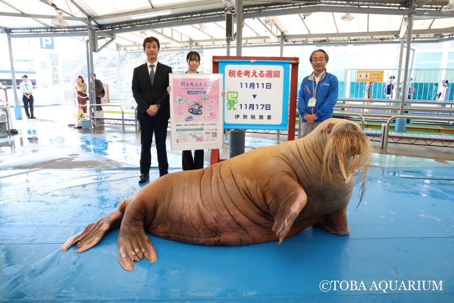 みんなも考えよう | 鳥羽水族館 飼育日記
