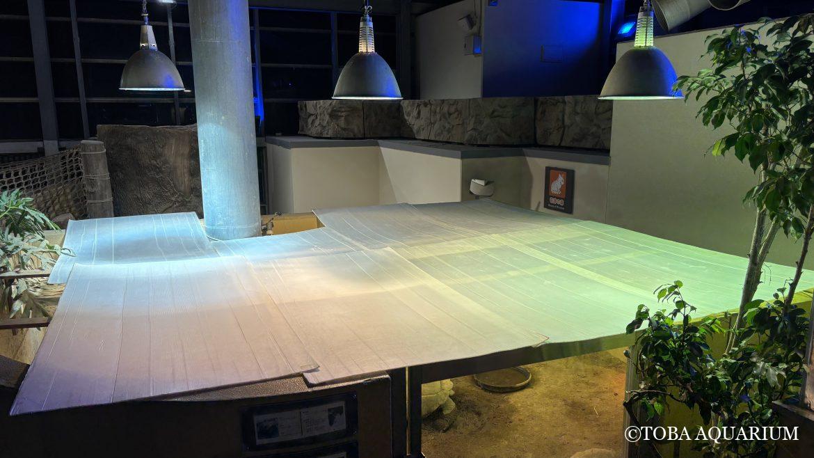 リクガメたちの冬