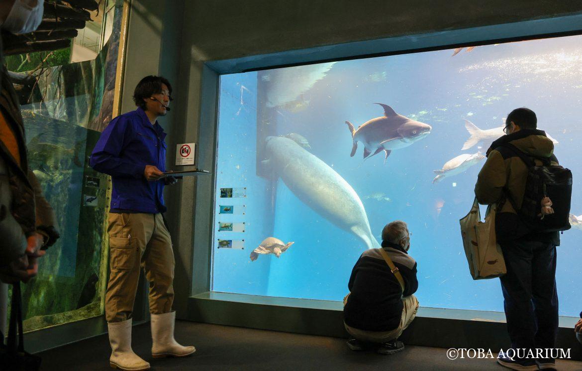 毎日生きもの解説中！！