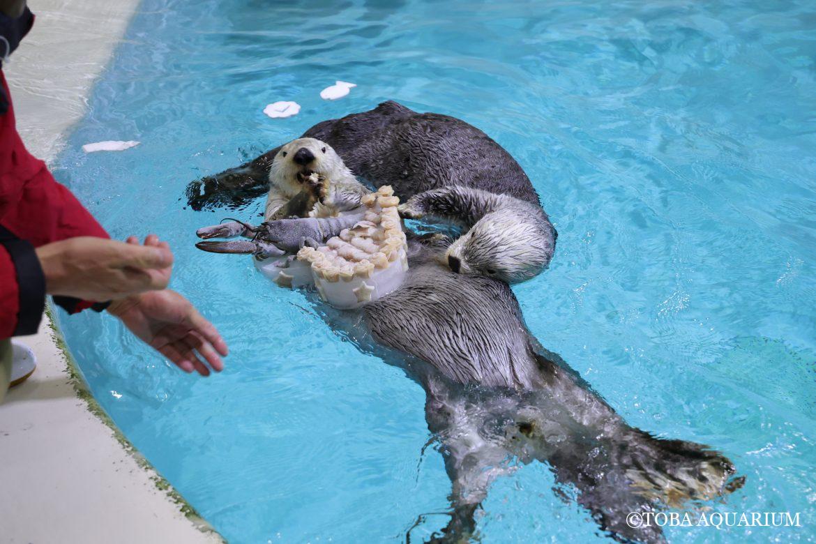 メリークリスマス！