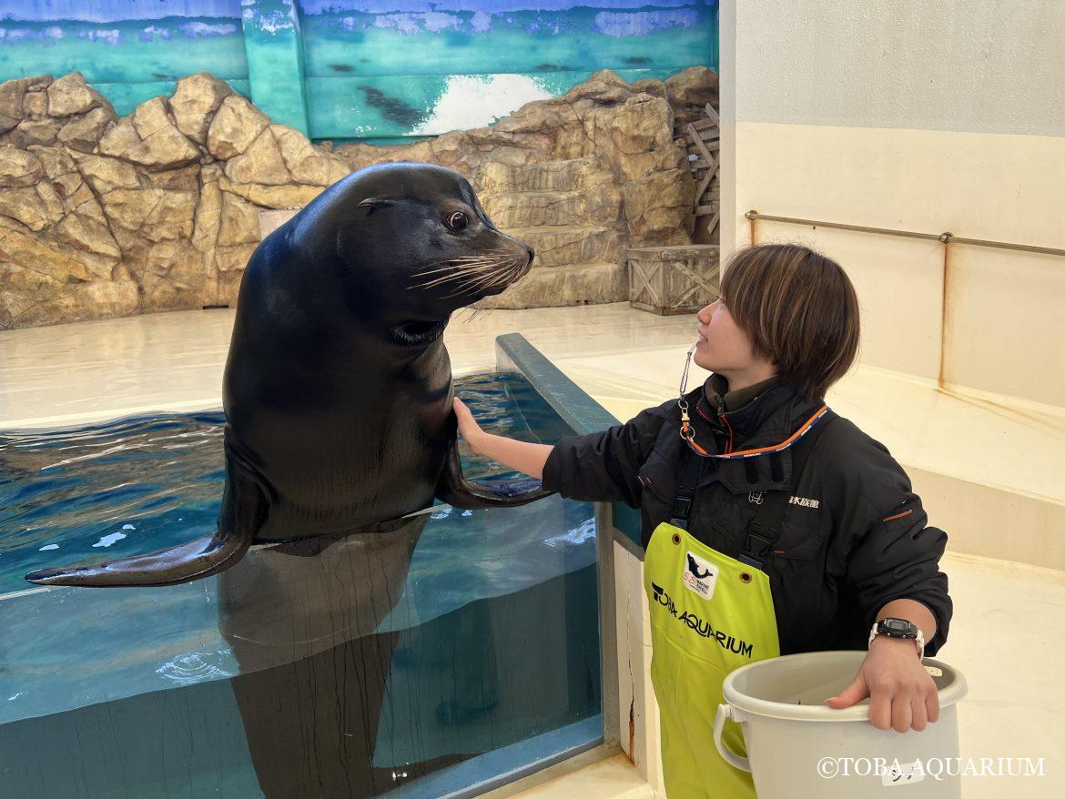 年の瀬のごあいさつ🌅