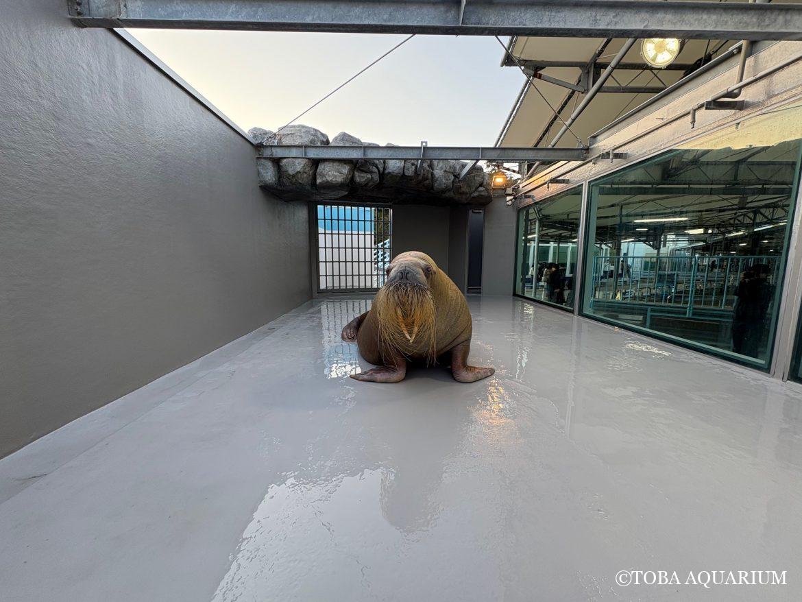 ツララが安心できる場所