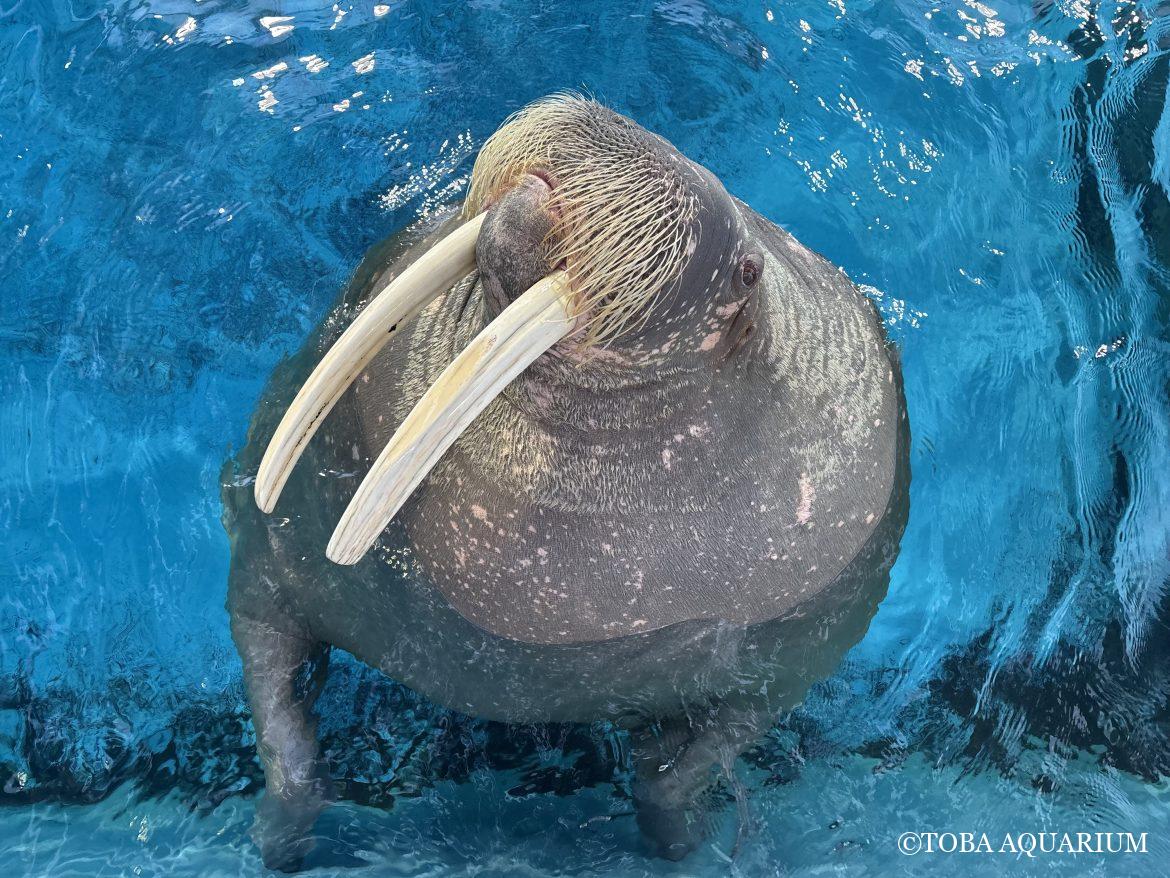 心も？体も大きくなぁれ。