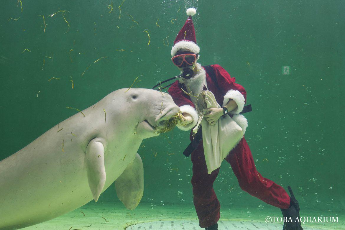 今年もやってきましたよ！