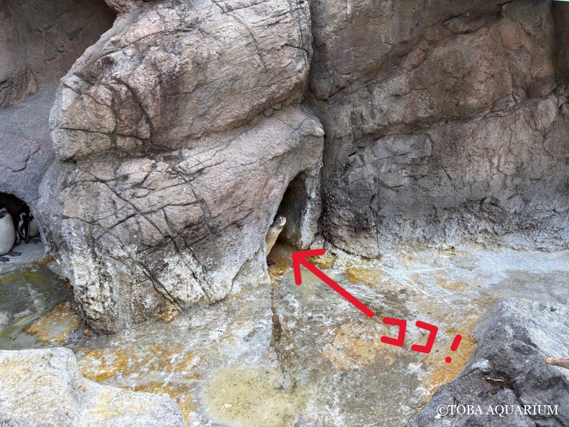 お気に入りが見つかったかな？