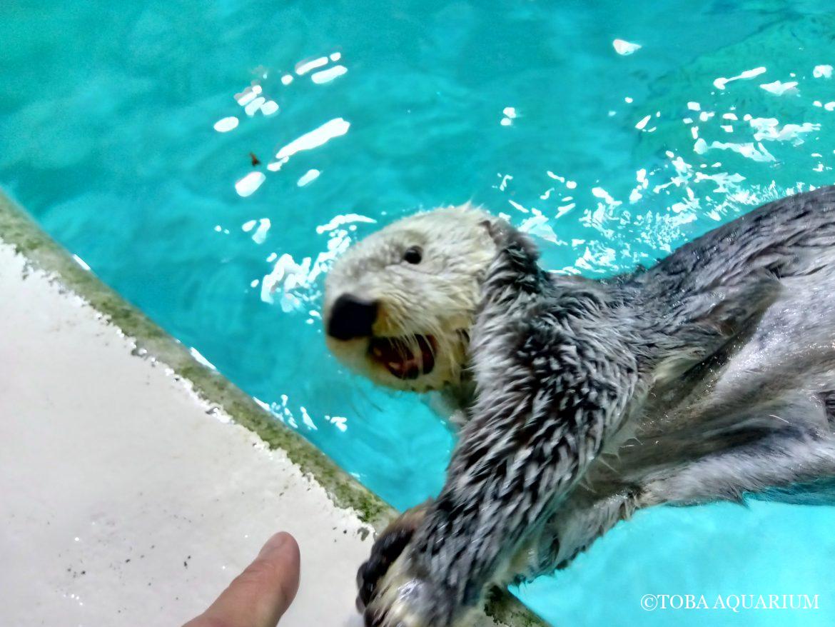 飲食の養は人生日用専一の補