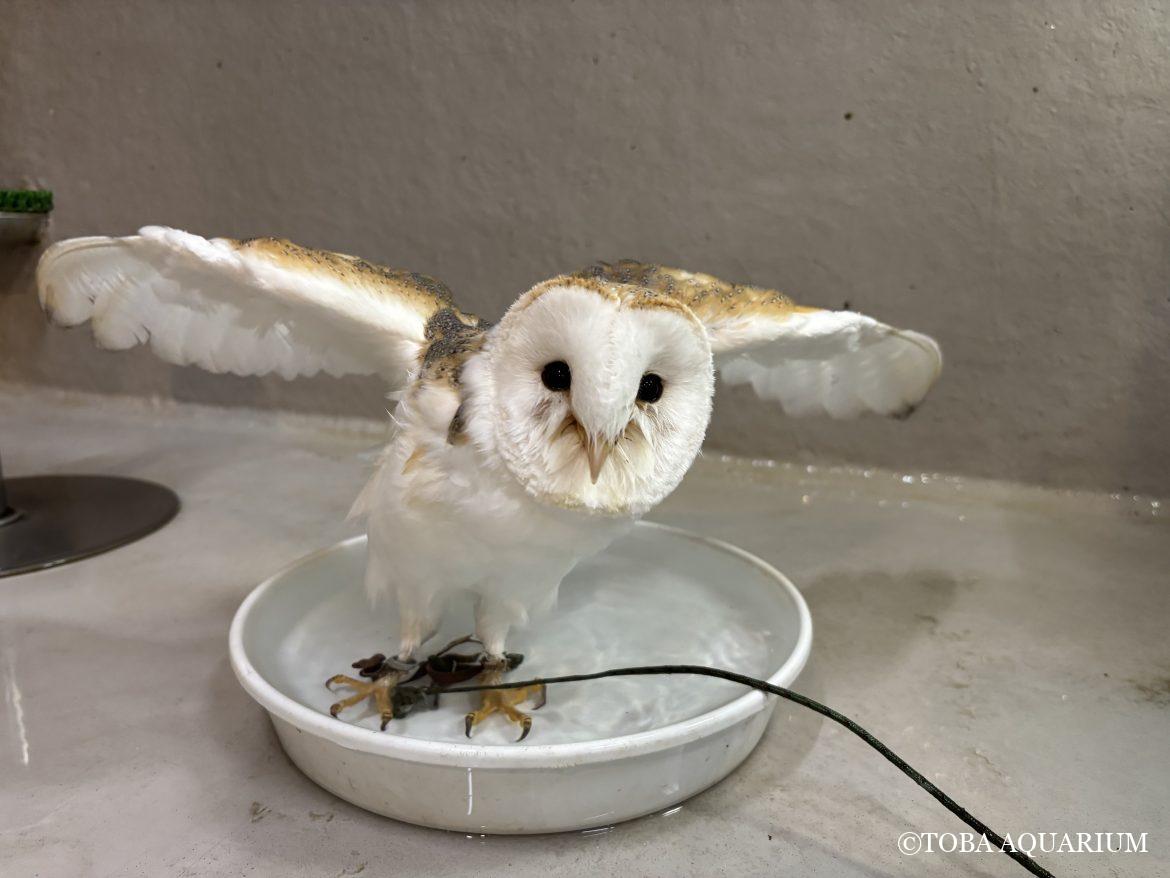 それぞれの水分補給！