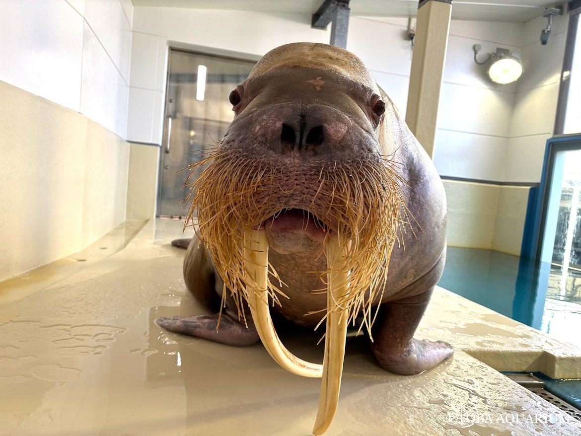 今年も始まります。