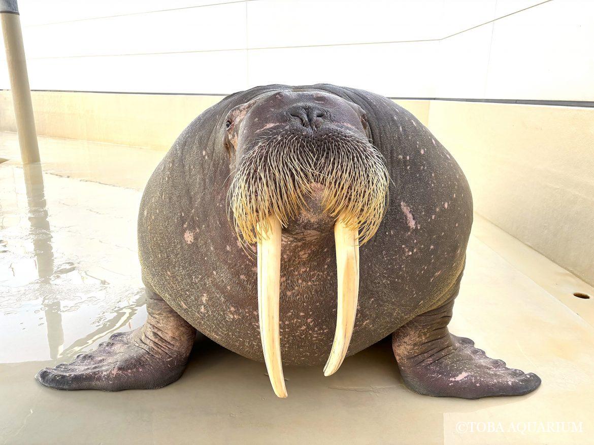 経験したことのない大きさ。