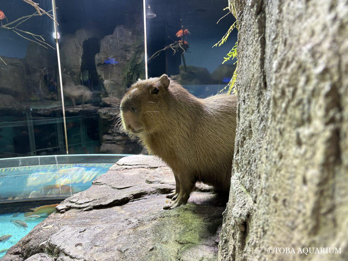 陰ながら頑張っています！