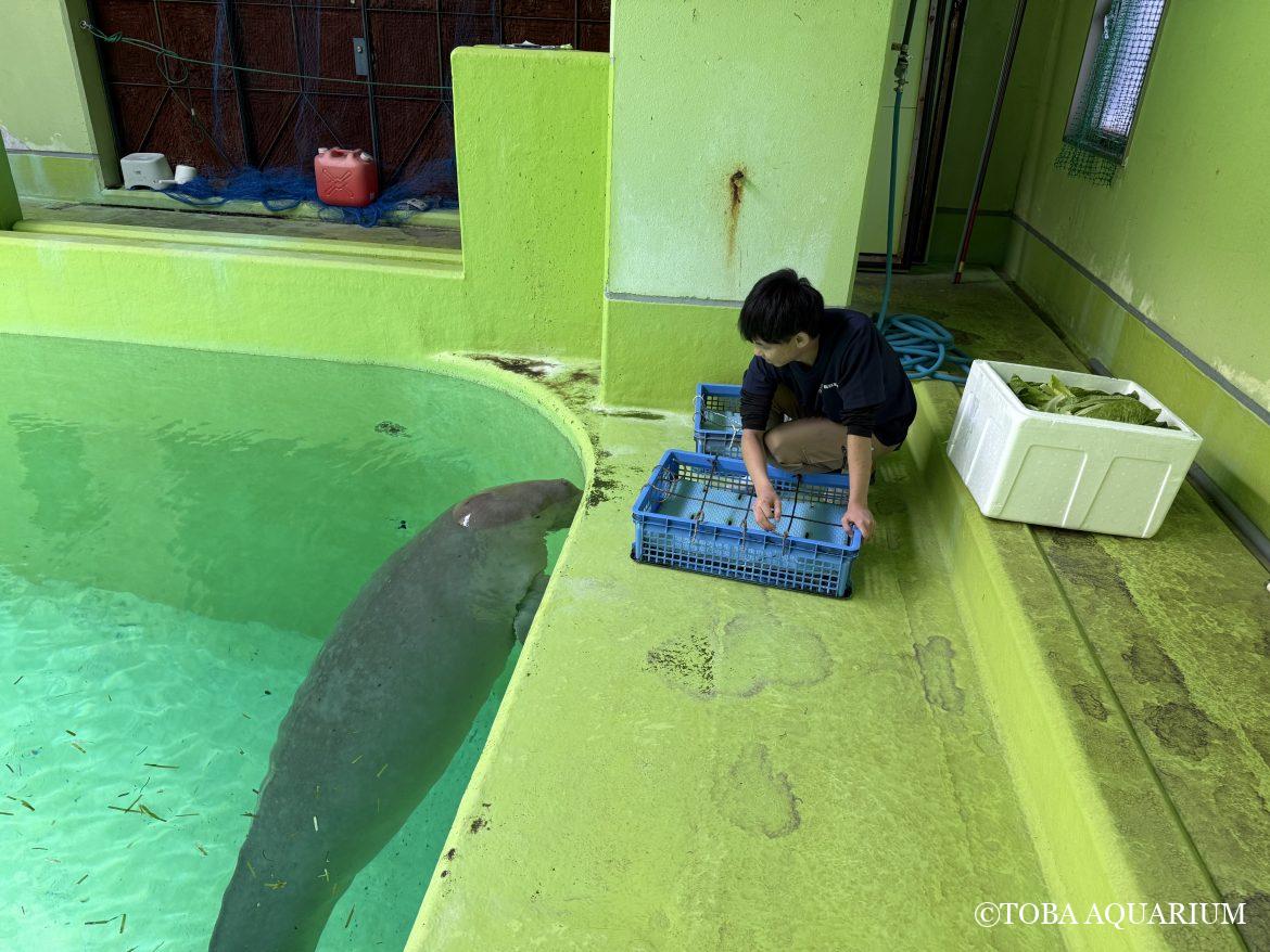 おなかすいた～（圧）