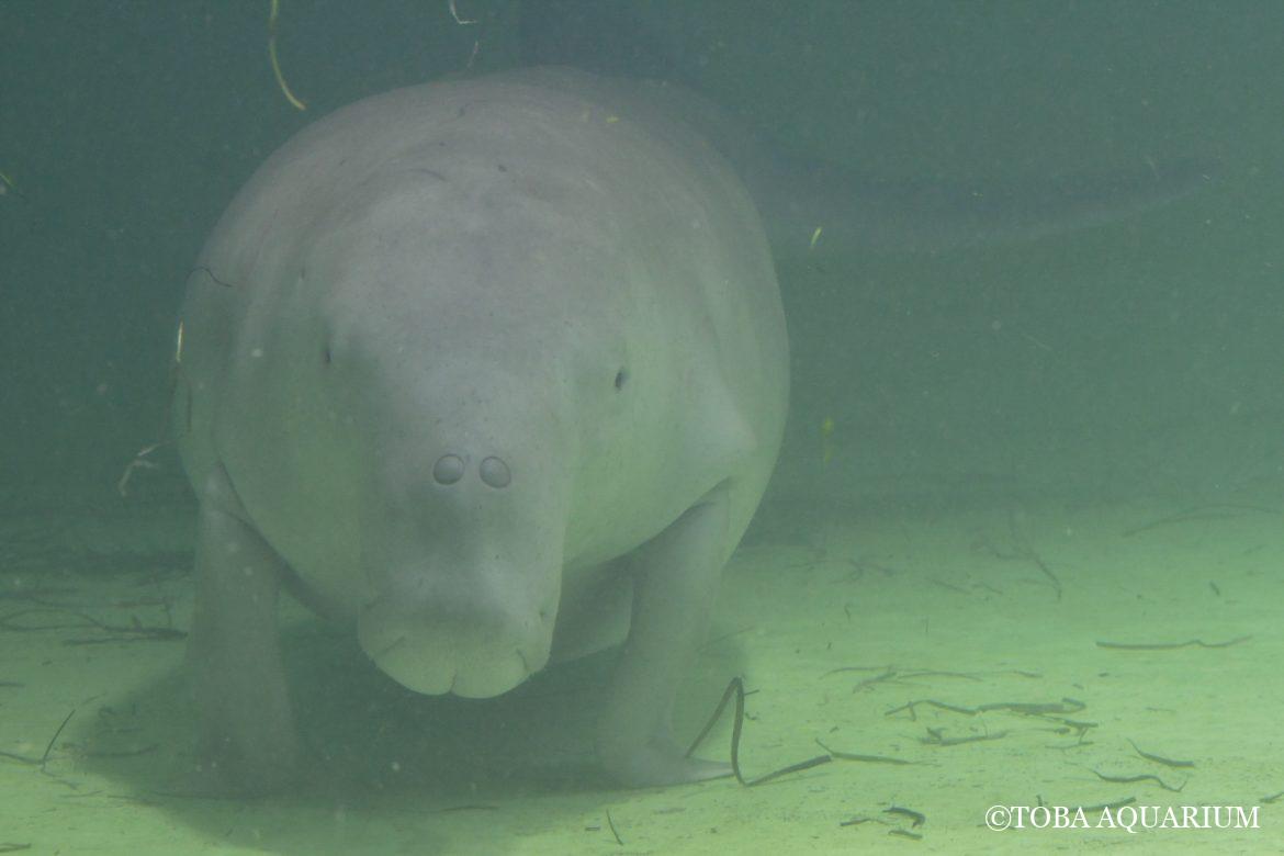 気になるあの子の熱視線