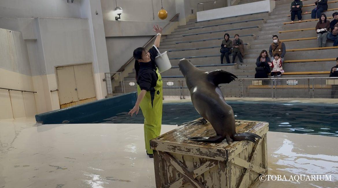 PONPON飛んじゃいました🫣（？）