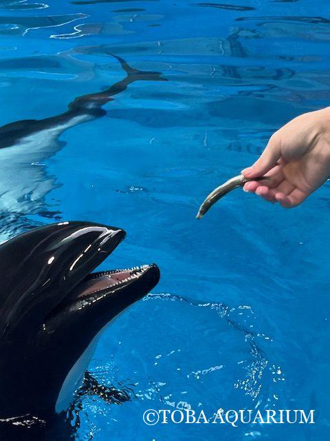 今年も健康でありますように！