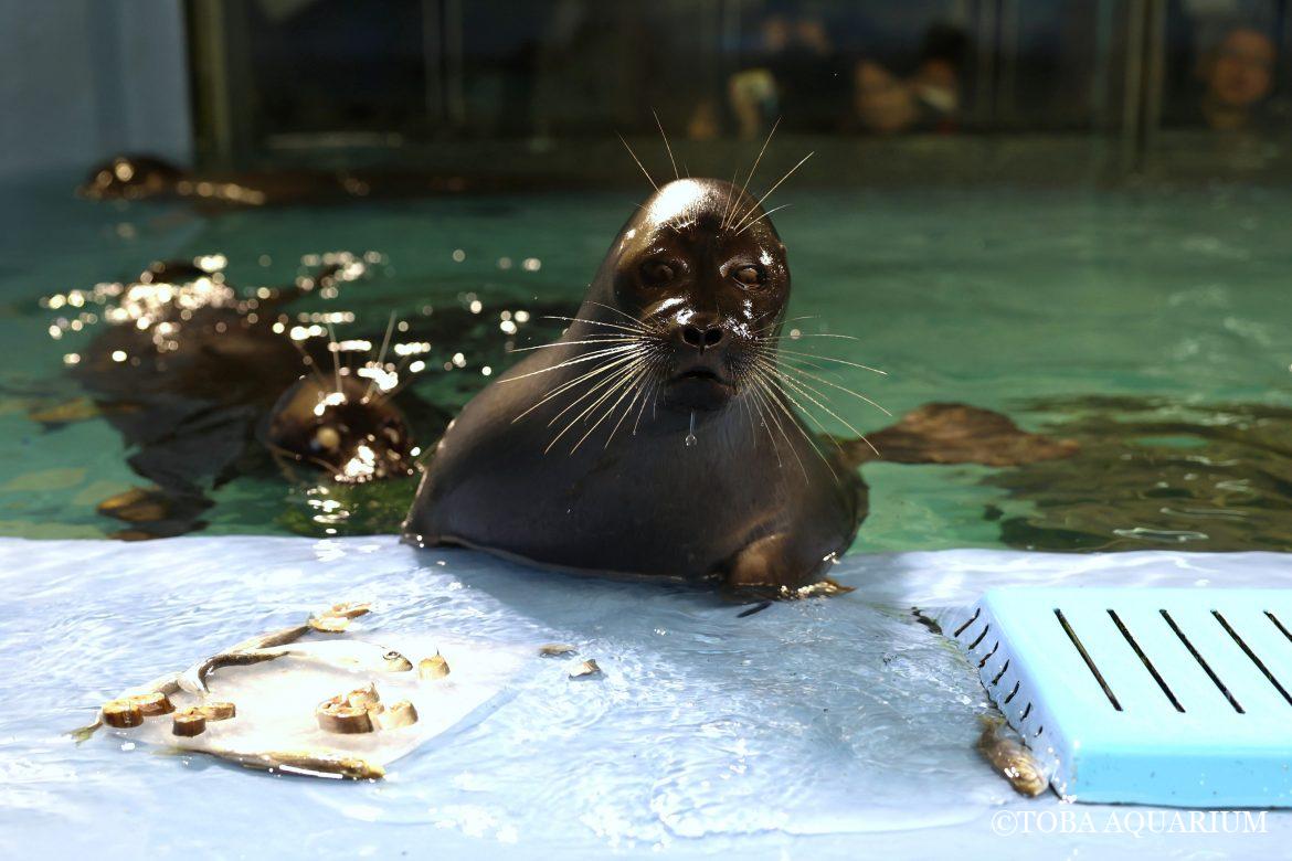 Happy birthday Niko!!!