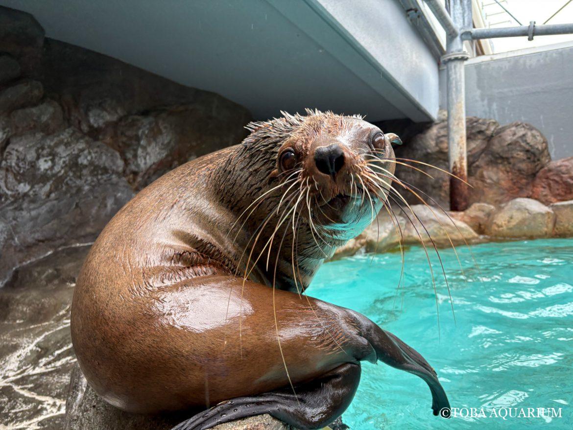 大切なお知らせ