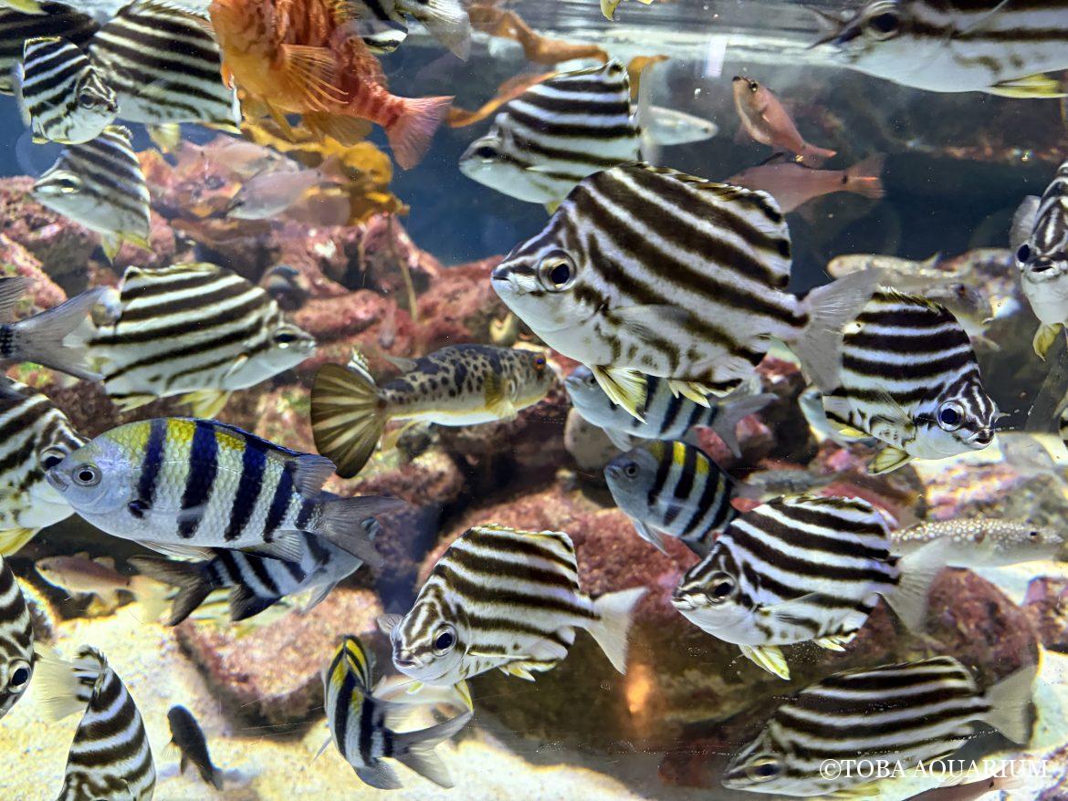 意外にムズイ！