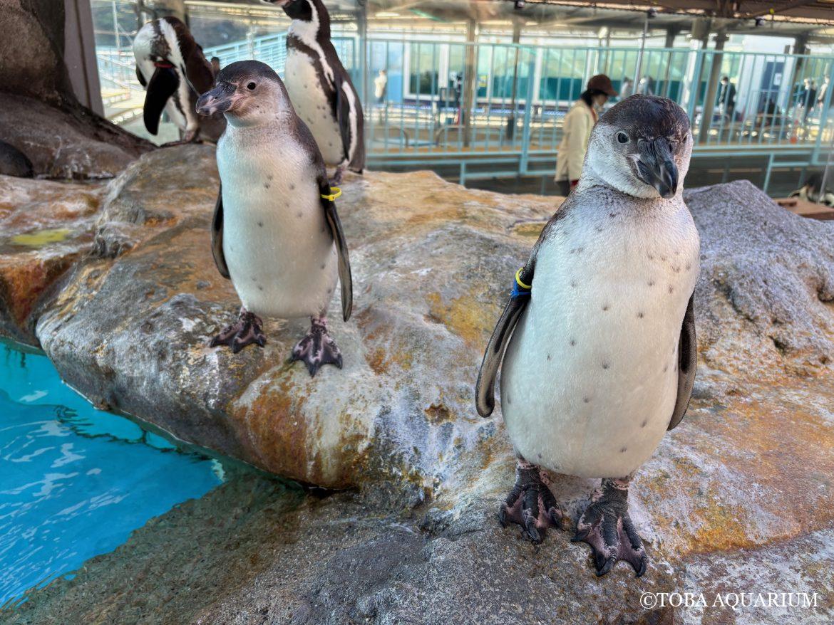 もうすぐ１歳👏