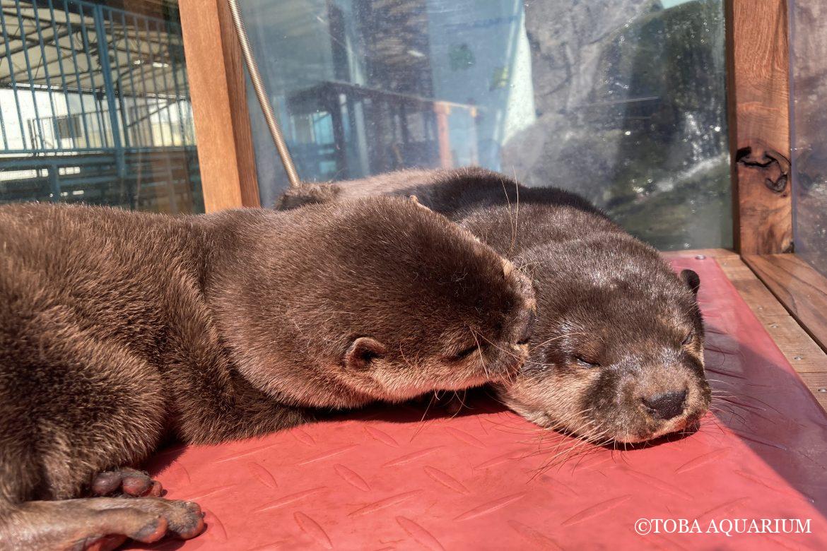 御機嫌ですか？