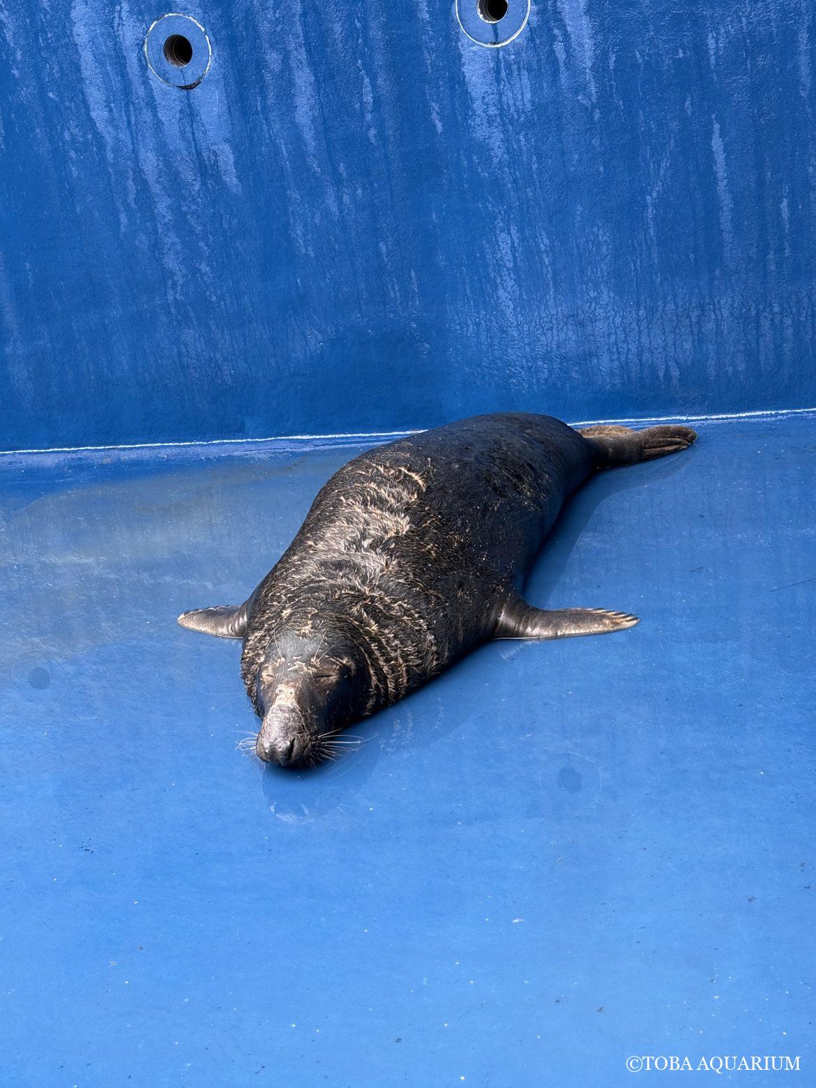 バルトを探せ！