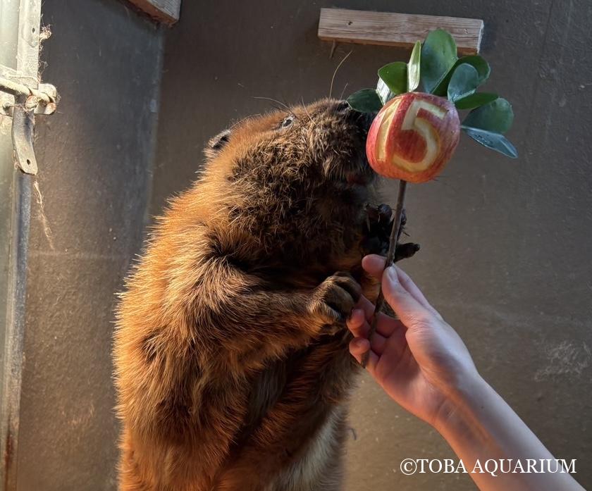 グリンバースデー