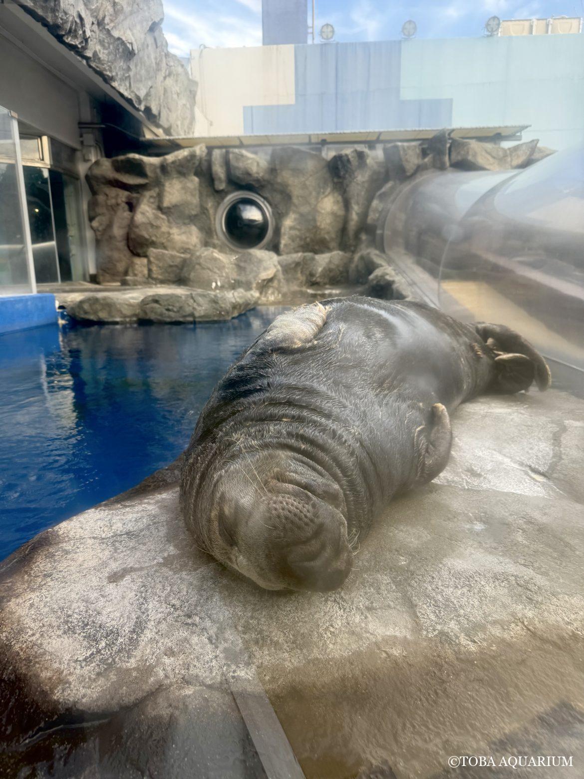 バルトを探せ！