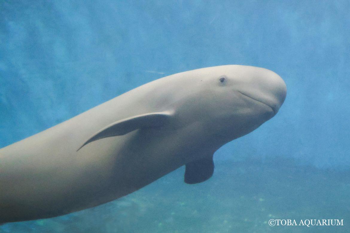 メンバーチェンジ