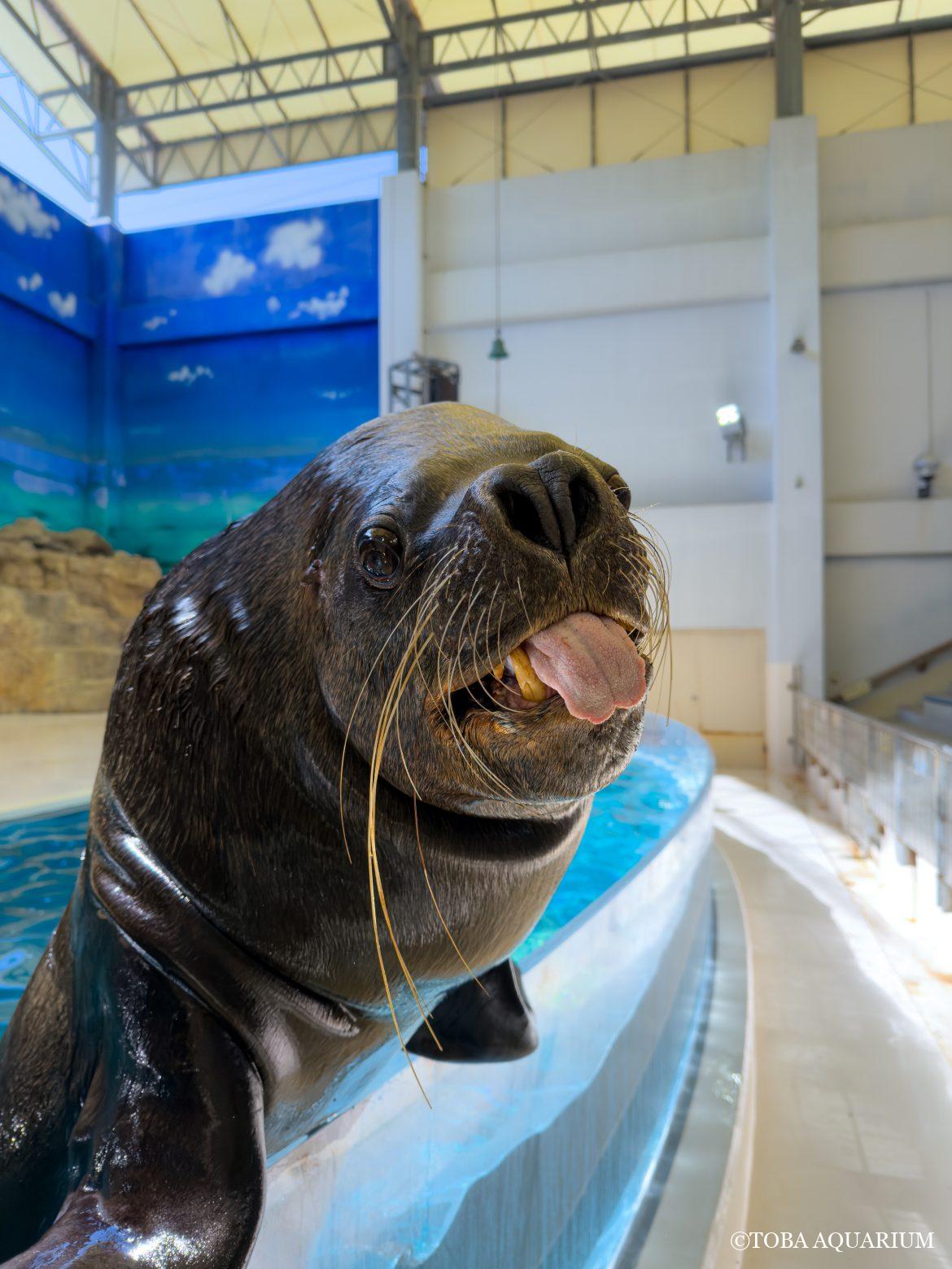 彼が【クーバ】