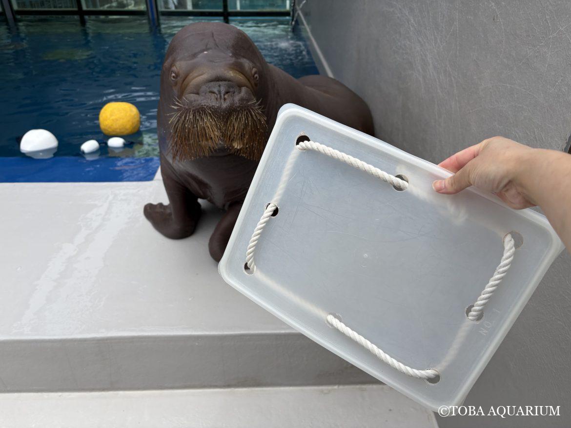 このおもちゃの名前は・・・？