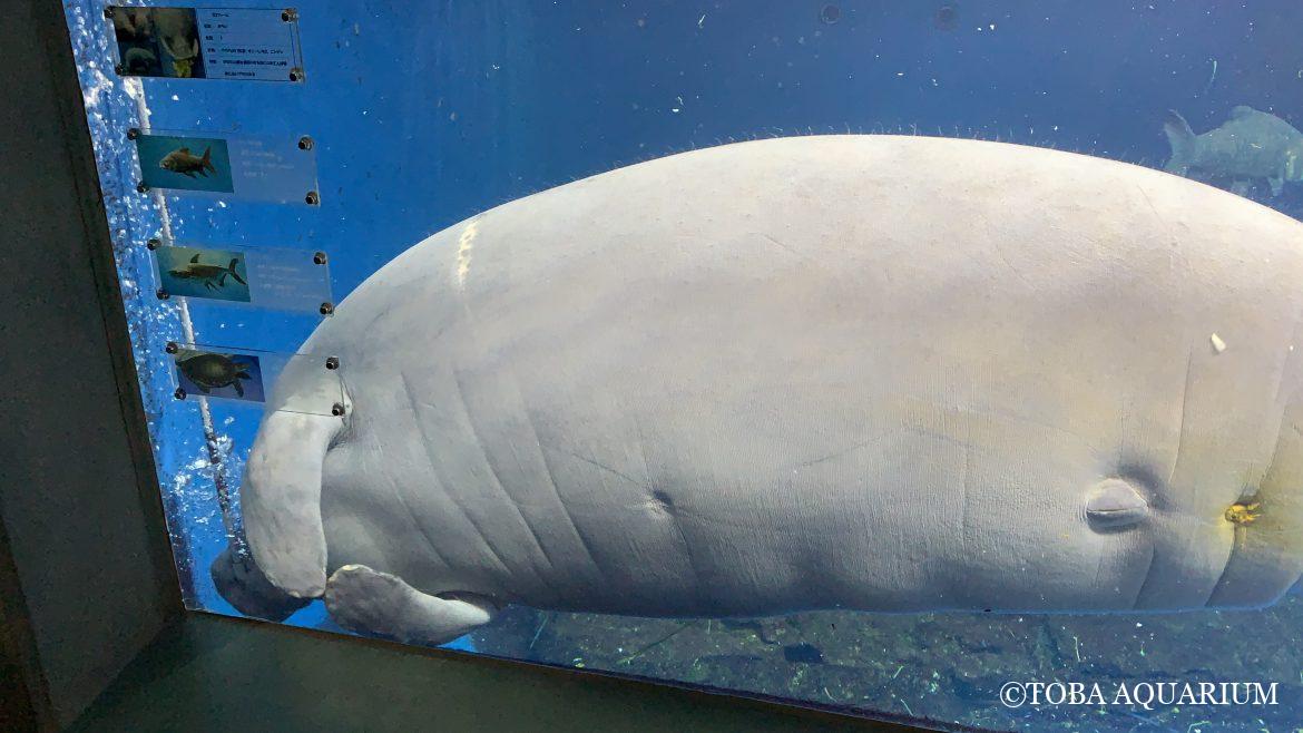 みらいの少しだけアクティブな一面！