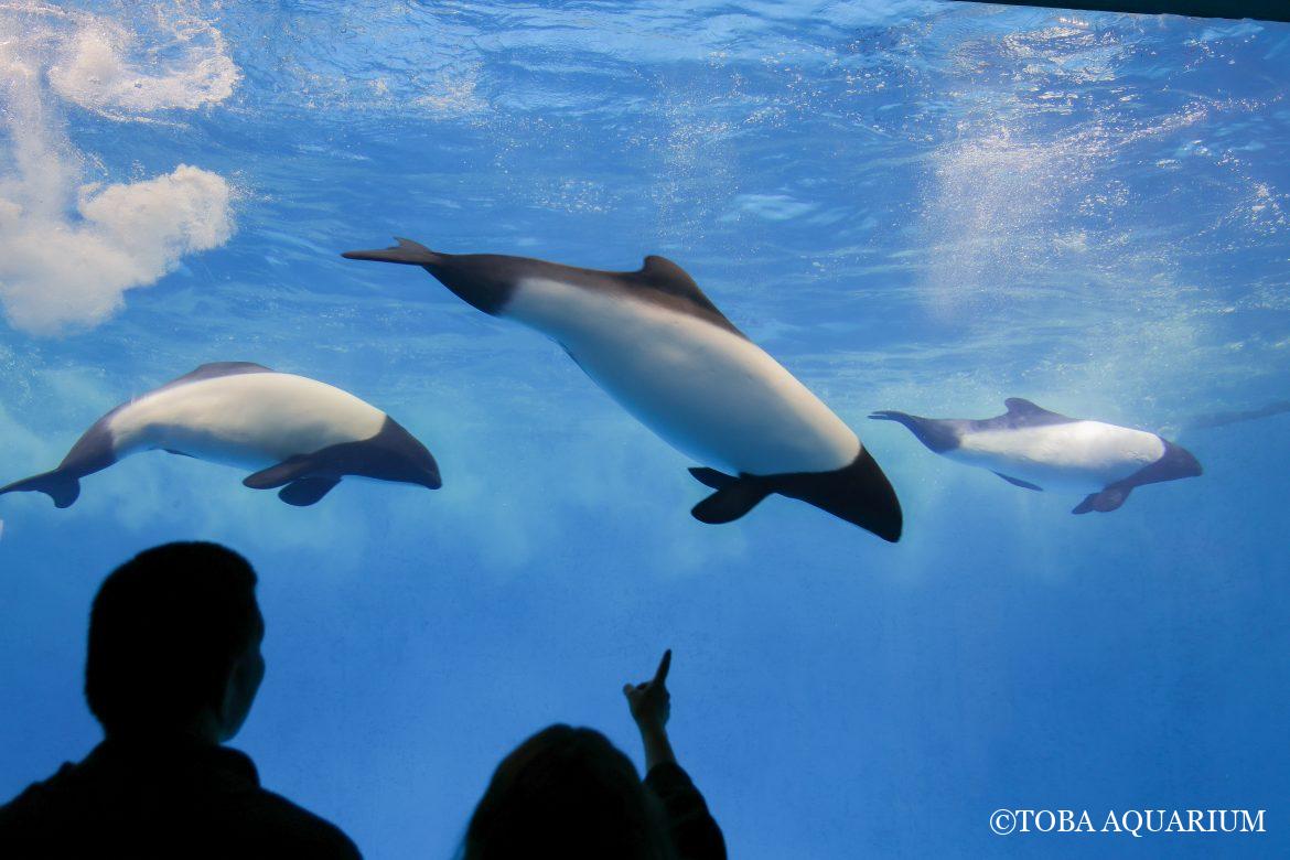 メンバーチェンジ　その②