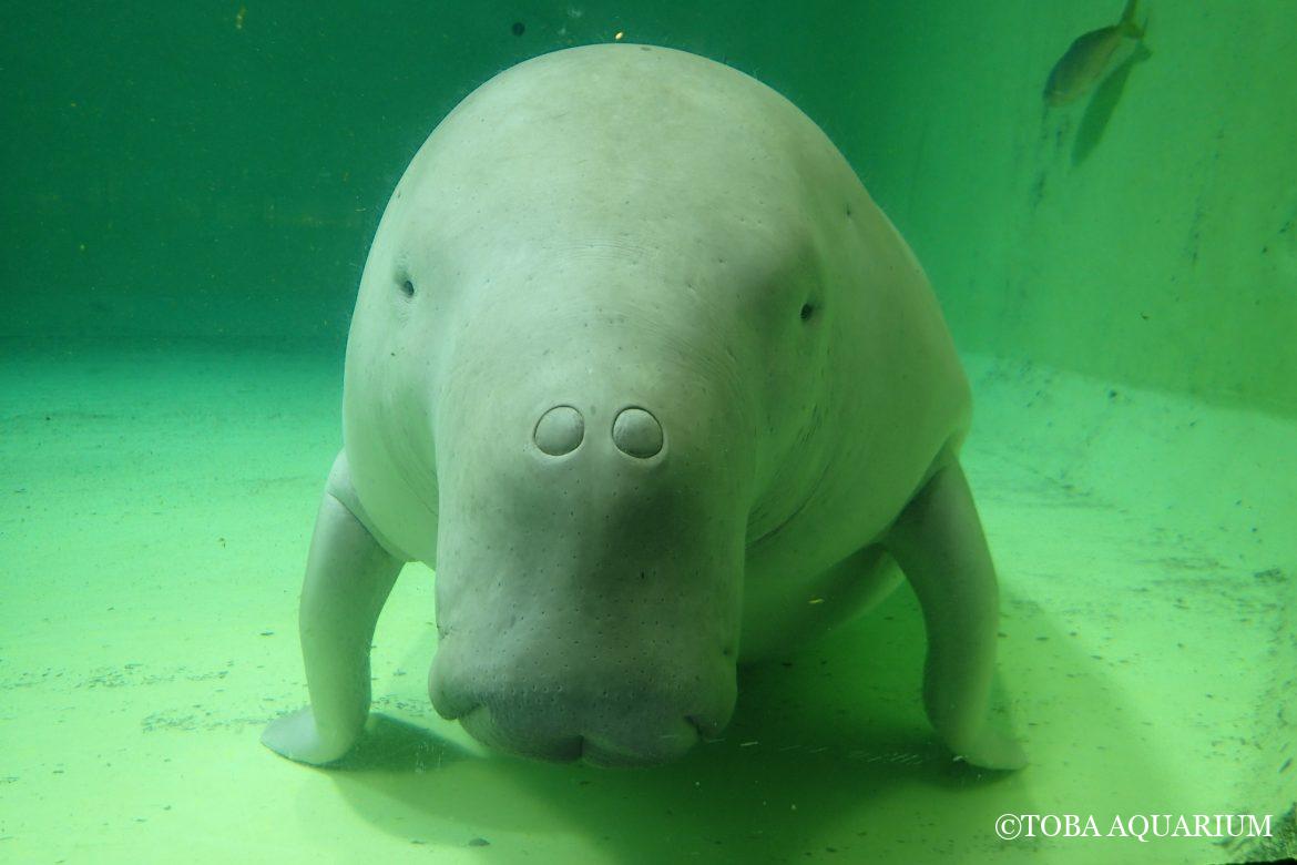 シャッターチャンス！