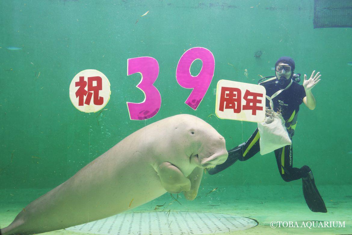 セレナ入館39周年！！