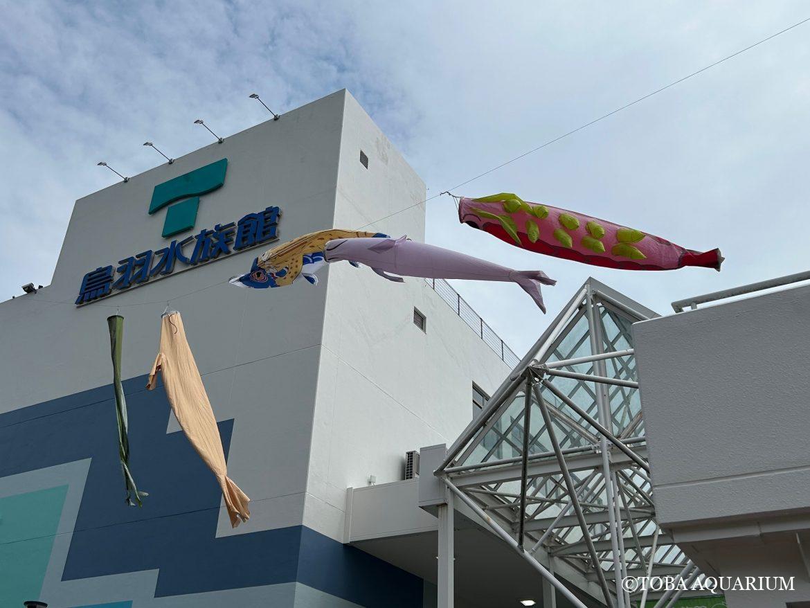 泳げ！生きもののぼり