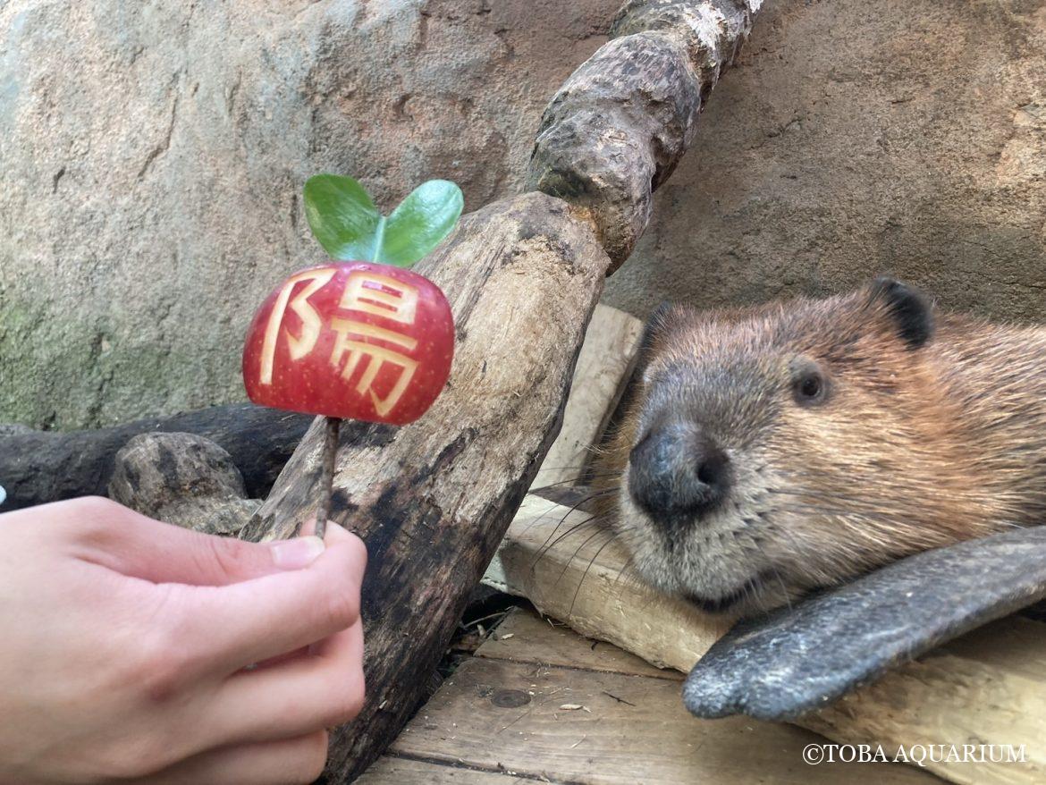 陽ちゃんが５歳になりました