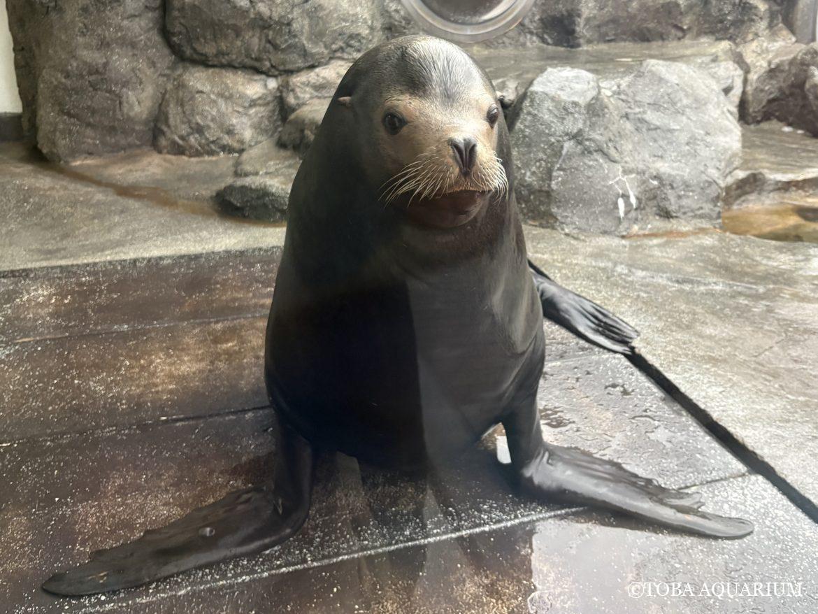 今の時期ノッています🌊✨