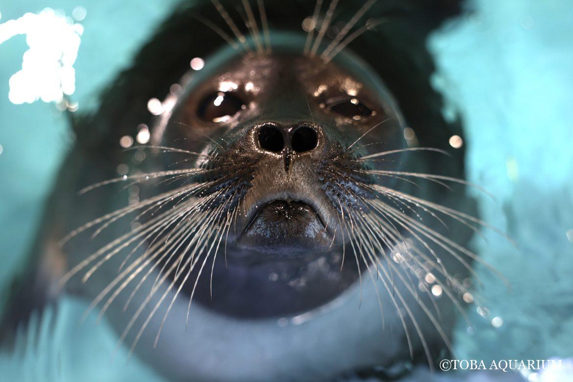 鼻息を浴びる幸せ