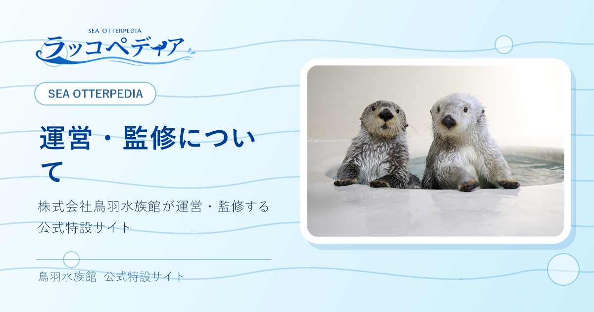 運営・監修について｜ラッコペディア｜株式会社鳥羽水族館